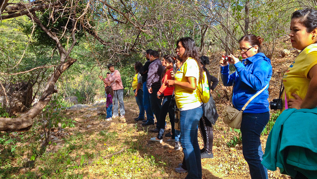 Tesoro de la cierra madre, Álamos en Sonora