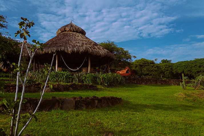 Jalisco Guadalajara. zona de eventos culturales 
