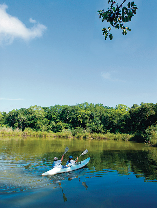 Cenote Oxwatz: El Portal al Camino Maya