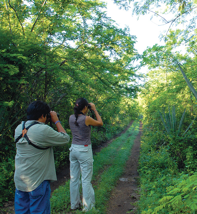 Cenote Oxwatz: El Portal al Camino Maya